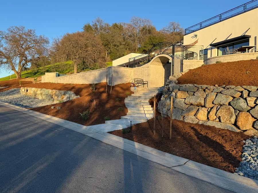 Dry-stacked boulder retaining walls and poured concrete steps rising from the pavement to a hillside house, with freshly mulched terraces either side