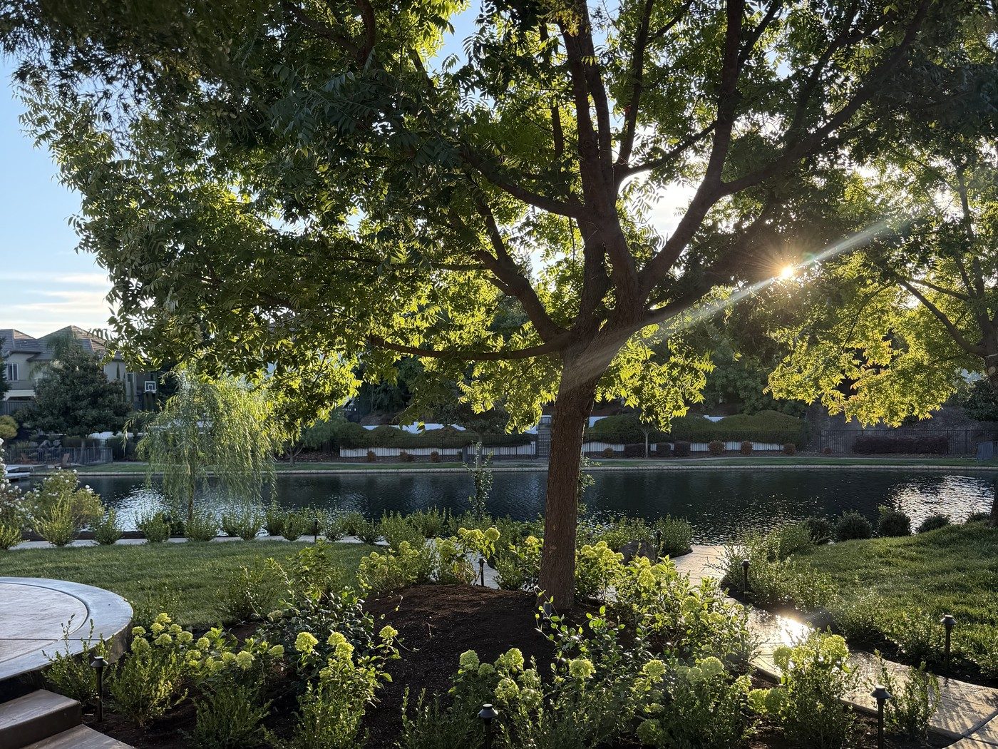 A finished backyard on the water: mixed perennial beds under a shade tree, stamped concrete and cut lawn running to the lake.